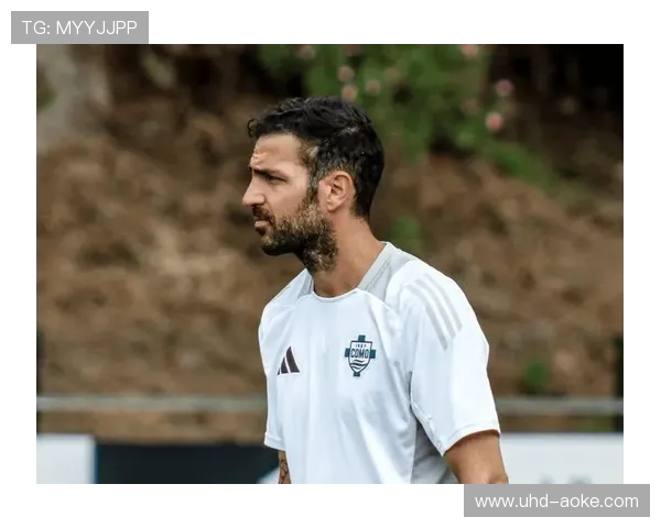 年轻教练崛起趋势明显，法布雷加斯与齐沃执教表现引关注